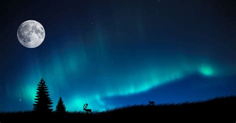 Aurora Borealis, Wallpaper | Northern lights photography, Northern ...