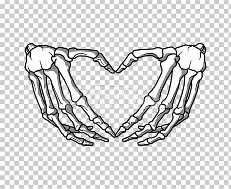 Finger Heart Human Skeleton Hand Png Clipart Anatomy Black And White | The Best Porn Website