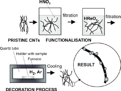 Schematic of MWCNT-Re nanocomposite fabrication process | Download ...