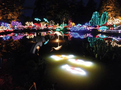 This Magical Christmas Lights Display is a Must-Do For Every Oregonian | That Oregon Life