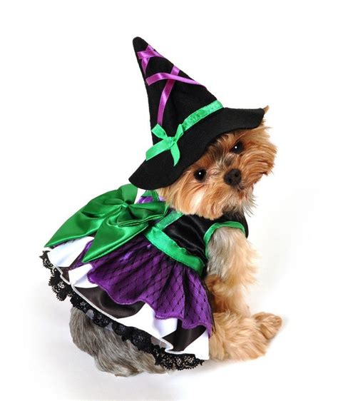 Scary Witch Dog Costume - Poochieheaven Pet Halloween Costumes, Dog Costumes, Halloween Witch ...