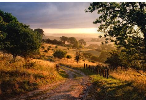 Buckinghamshire travel guide: What to do and where to stay ...