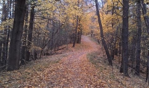 Outdoor Activities 2011: Hiking East Esker Trail in Mendon Ponds Park