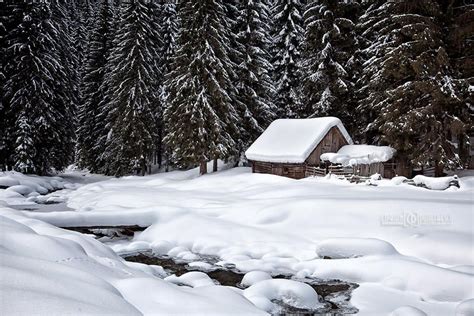 Fairytale winter | Visit romania, Romania, Romania travel