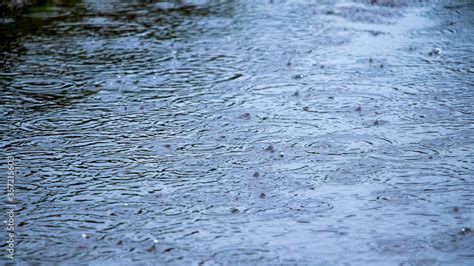 Puddle with raindrops and circles on the water, background puddle rain ...