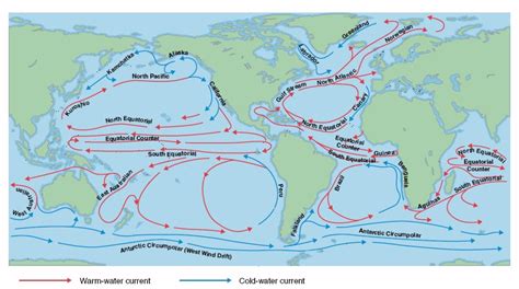 Tendenza distribuzione vegetazione mondiale