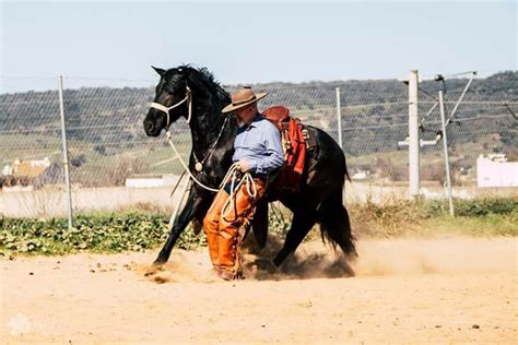 Vaquero Horsemanship Information Evening with Jeff Sanders - Cavalletti Equine Marketplace