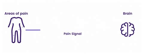 Back Pain Relief - Capsiva Ultimate Pain Relief Gel