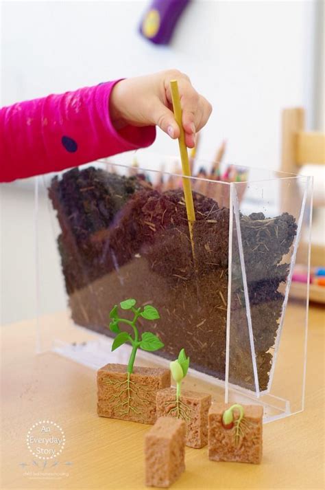 17 Best images about Plant Activities for Kids on Pinterest | Science activities for kids, For ...