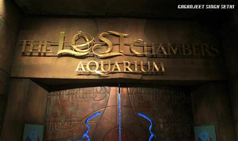 iThink: Photography: The Lost Chambers Aquarium - Atlantis