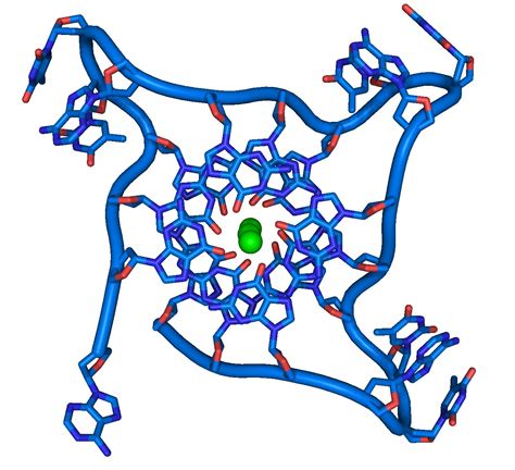 Helix Dna - ClipArt Best