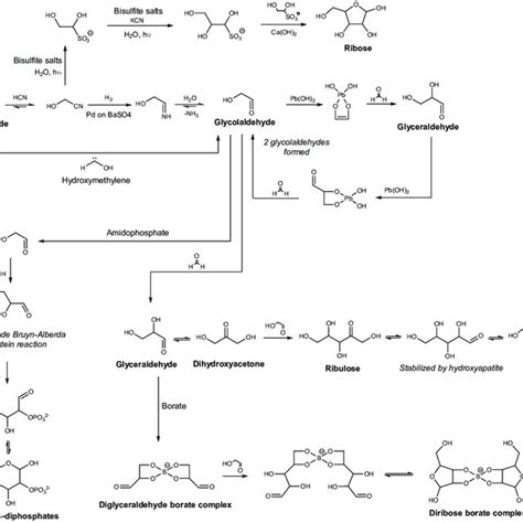 Possible routes favoring ribose formation. | Download Scientific Diagram