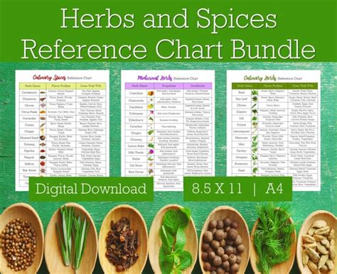 Herbs and Spices Reference Chart Bundle Spices and Herbs - Etsy India