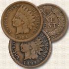 The Indian Head Penny Collection