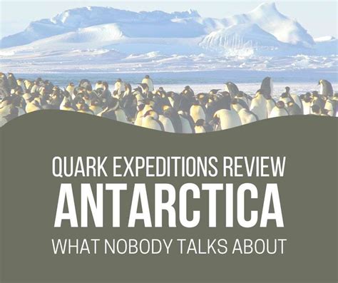 Quark Expeditions Antarctica Cruise Review - Top 5 Secrets Revealed ...