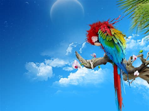 Beautiful Parrot wallpaper | 1024x768 | #6424