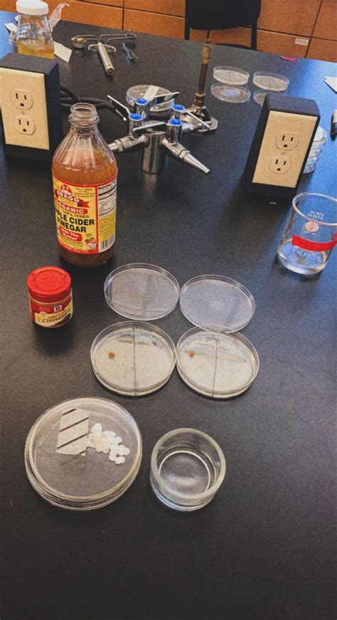 Microbiology lab samples 🧪