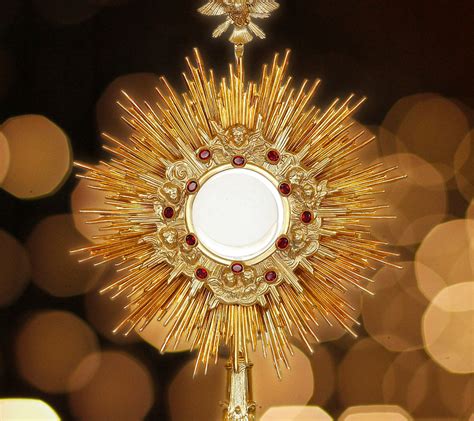 “The Blessed Sacrament is everything!” - BELIEVE in the Eucharist