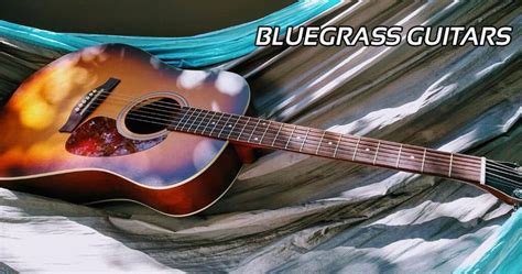 The 5 Best Bluegrass Guitars Reviews