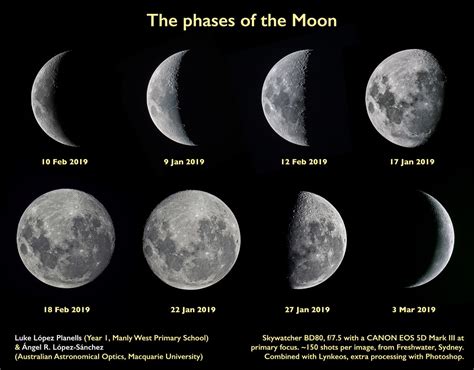 Moon Phases