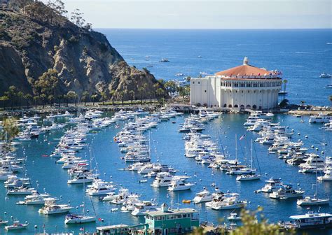 Catalina Island Company Reopens Hotels, Tours, Dining and Camping