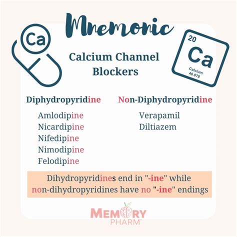 Calcium Channel Blockers – Memory Pharm