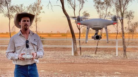 Drone mustering is taking flight in Queensland but regulations need ...