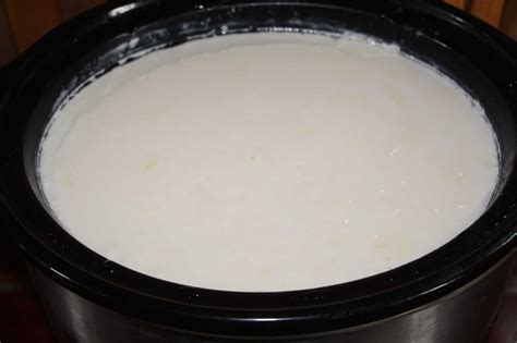 How To Make Yogurt & Yogurt Cheese With Powdered Milk & A Crock Pot ...