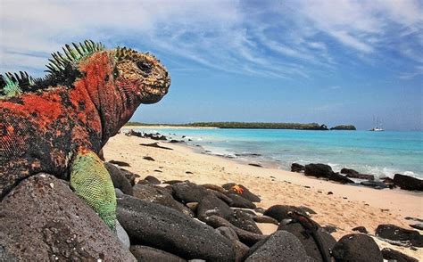 Mejores Lugares turísticos para visitar en Ecuador América Latina - Viajes Blog