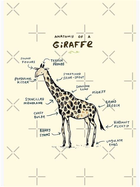 "Anatomy of a Giraffe" Spiral Notebook for Sale by SophieCorrigan ...