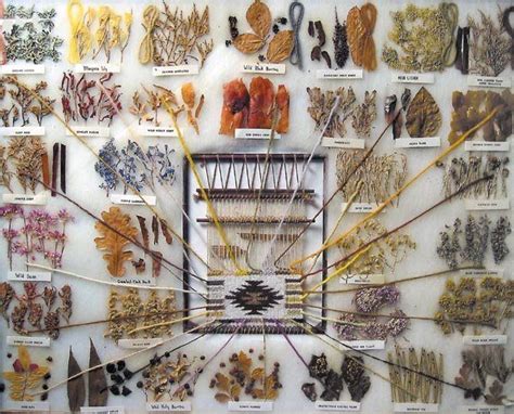 Navajo Indian vegetal dye chart - Aug 12, 2004 | High Noon & Manitou Galleries in CA | Natural ...