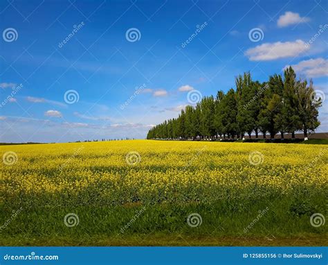 Magnificent Landscapes of Ukraine Stock Photo - Image of blue, vast: 125855156