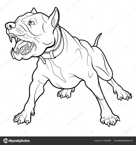 Angry Barking Pit Bull Dog Line Illustration Stock Vector Image by ...