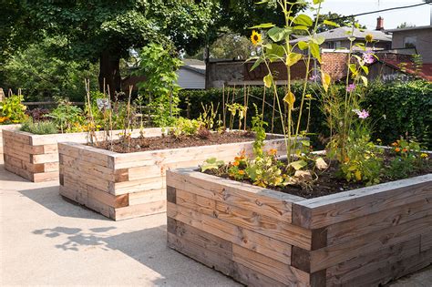 5 Ways Community Gardens Can Help Your City or County | icma.org