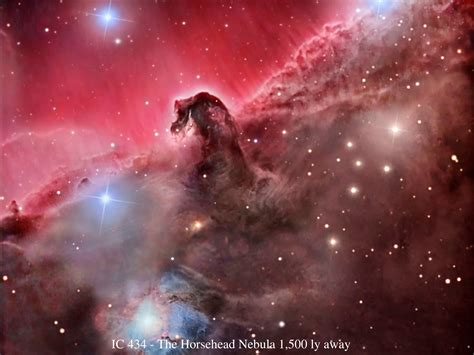 🔥 [40+] Horse Nebula Wallpapers | WallpaperSafari