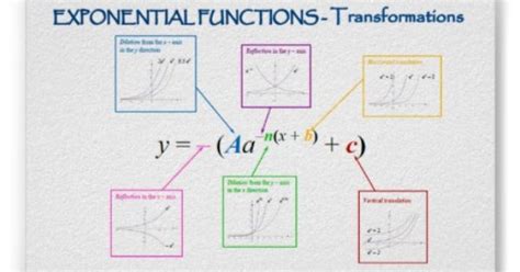 exponential transformations worksheet | Hooey Kindergarten