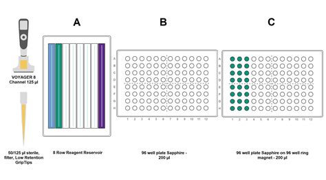 AMPure XP beads protocol for PCR purification | INTEGRA