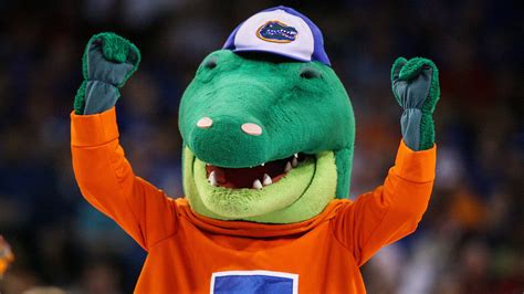 Gators’ mascot uses his head — literally — to protect boy from foul ball | Mascot, Gator, Boys