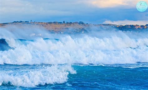 Winter Waves near Manly Beach Love how the late light hits the waves | Ocean photography ...