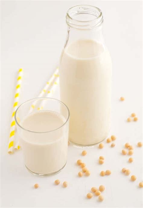 Homemade Soy Milk - Simple Vegan Blog