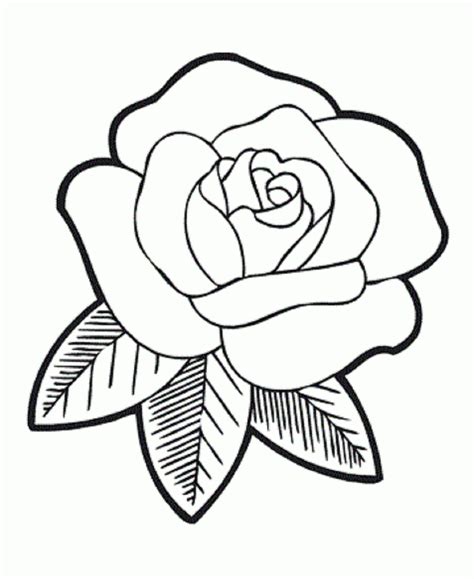 rose cartoon Cartoon rose drawing roses draw how to an easy gif – Clipartix