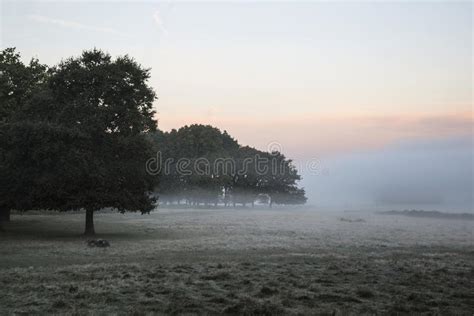 Stunning Foggy Autumn Fall Sunrise Landscape Over Frost Covered Stock ...