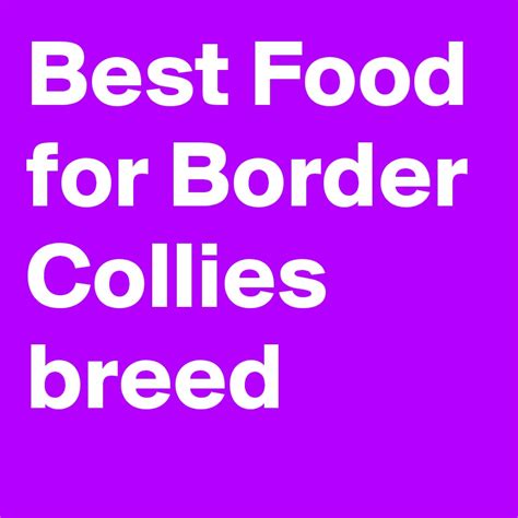 Best Food for Border Collies breed - Post by GoContact on Boldomatic