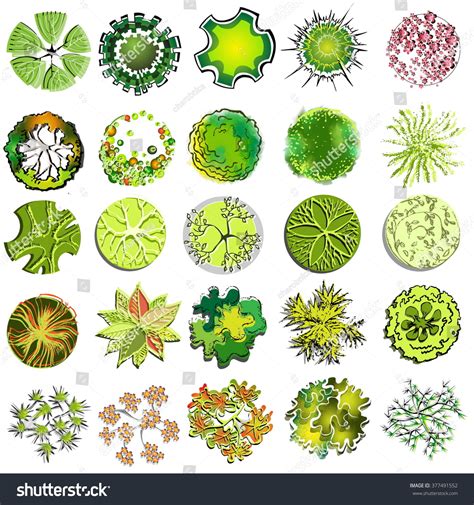 Landscape Plants: Landscape Plants Symbols