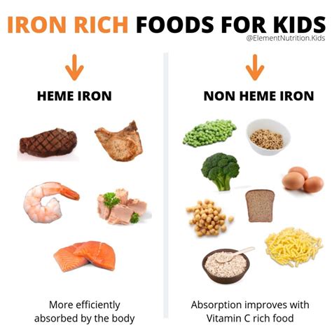 Anemia and iron rich foods for kids | Element Nutrition Co.