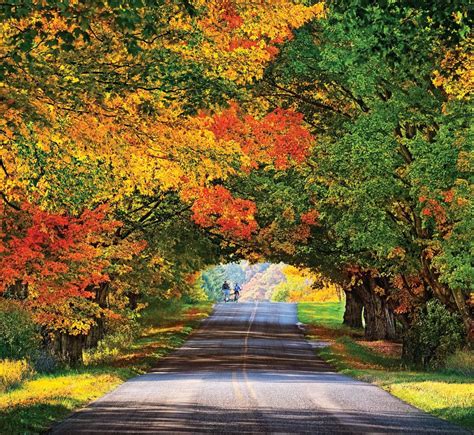 Sneak Peek at the 2013 Pure Michigan Calendar | Tunnel of trees ...