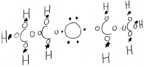 Lewis Structure - The Diethyl Ether Molecule