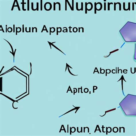 A Comprehensive Guide to How Allopurinol Works - The Enlightened Mindset