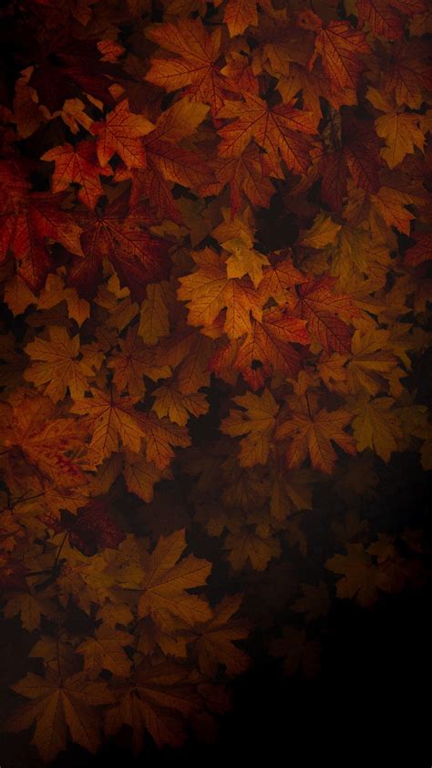 Dark Autumn Wallpapers - Top Free Dark Autumn Backgrounds - WallpaperAccess