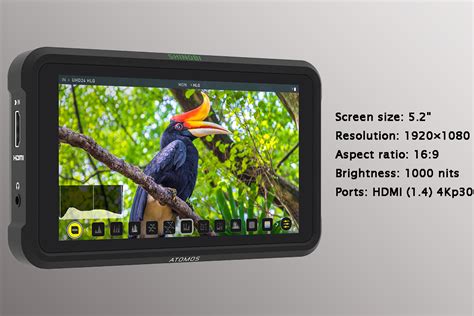 7 BEST EXTERNAL CAMERA SCREENS FOR PHOTOGRAPHER - VincenColor